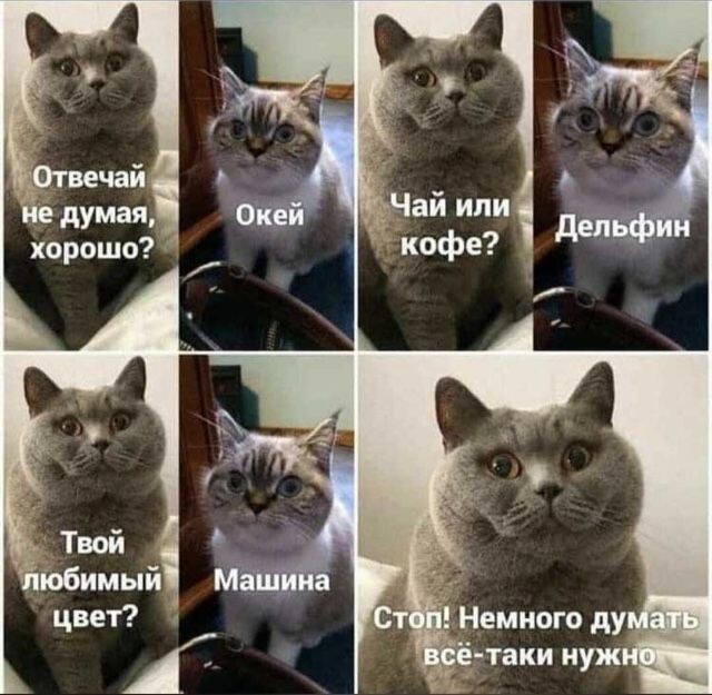 психологические тесты